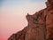 View to big cliff in arctic sky. Minimalist scenery with beautiful rockies