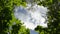 View to the blue sky with running white clouds