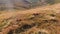 View to carpathian mountains range summer sunny morning