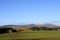 View to the Cheviot Hills