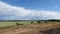 View to city of Uppsala from Gamla Uppsala in Sweden