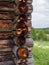 View to corner of house with amber spots on wood