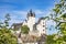 View to Diez Castle with tree in foreground