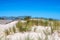 View to a dune with fence in Warnemuende, Germany