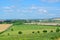 A view to fields and herds of cows and sheep grazing on a farmland near Old Sarum, Salisbury
