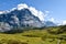 View to Grosse Scheidegg in the Grindelwald valley, Swiss Alps,