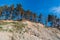 View to the high coast of Baltic sea with pine trees, coastal erosion in Labrags, Latvia