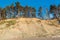 View to the high coast of Baltic sea with pine trees, coastal erosion in Labrags, Latvia