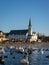 View to historical church Frikirkjan in Reykjavik downtown, Iceland. Swans and ducks swimming in partially frozen Lake Tjorninn.