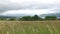 View to lake and farmland at connemara in ireland 54