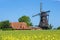 View to the mills and agriculture museum in Lemkenhafen