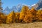 View to the mont blanc autumn. Italy Coumayeur Ferret valley