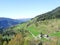 view to a mountain pasture in the alps in Austria