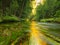 View to mountain stream below fresh green trees. Water level makes green reflections. The end of summer