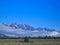 view to the mountain top in yellowstone