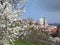 View to Prague St. Nicolas Dome at spring