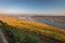 View to Rheingau, Bingen and Rheinhessen