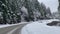 View to road and landscape in snowbound Carpathians mountains