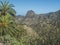 View to the Roque Cano, a famous volcanic cliff on the north side of La Gomera. Palm tree, rural mountain landscape in