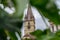 A view to the Sibiu Lutheran Cathedral of Saint Mary in the Transylvania region, Romania