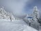View to ski slopes with lot of fresh powder snow at Stowe Mountain resort VT