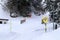 View to a Skiing Slope crossing a Street in Wintertime in Churwalden, Switzerland