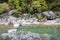 View to small clean calm mountain river, flowing among forest between stones.