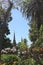 View to the spires of the St. Patrick`s Cathedral with beautiful blue Agapanthus and orange Cana flowers in front in Melbourne, Au