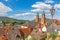 View to St. Jacobus church in the medieval German city of Miltenberg during daytime