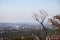 View to Stuttgart skyline from Grabkapelle hill