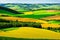View to a valley with green and yellow agricultural cultivated fields, striped fields made with Generative AI