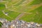 View to the vineyards near Bernkastel-Kues and river Moselle, Germany