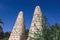 View To White Twin Pigeon Tower At Siwa Oasis, Egypt