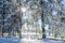 View to a winter landscape near Marisel village from Cluj county, Romania