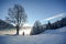 View to a winter landscape with old tree and valley near Bad Gastein, Pongau Alps - Salzburg Austria