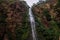 View to the Wli Waterfalls, the highest waterfall in Ghana