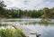 View to the wooden swimming pier on the shore of the island and Gulf of Finland