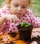 View of toddler child planting young beet seedling in to a fertile soil