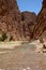 View of the Todgha river and gorges. Tinerhir. Morocco