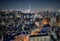 View of Tokyo by night with Skytree in the center.