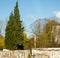 View of tombstones in a bavarian cemetery