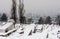 View Tombstones at the old Jewish Cemetery which lies on the slopes of Trebevic mountain in Sarajevo capital of Bosnia Herzegovina