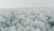 View from top. Aerial frozen pine and fir trees in the snow in winter.