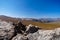 View from the Top of Beartooth Pass