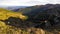 View from top of Carpathian Forest autumn Nature Park