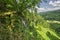 View from top of Kalamarka cliff at Polana mountains