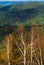 View from the top of the mountain to the autumn Vosges mountains in Alsace. Autumn colors and amazing space and freedom around