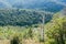 View from top of mountain to dense beautiful green forest below in gorge.