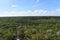 The View at the Top of Nohoch Mul Ancient Mayan Ruins, Coba Mexico