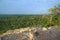 View from the top of Nohoch Mul pyramid in Coba